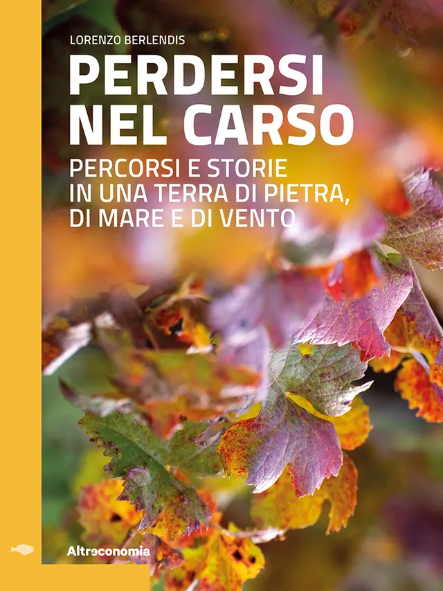 Altreconomia Perdersi nel Carso guida Carso