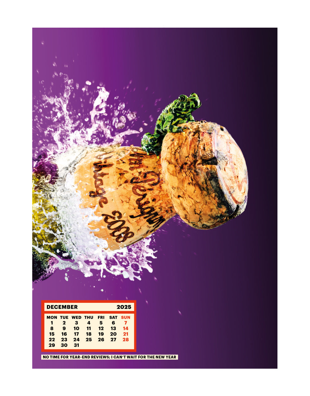 TOILETPAPER Calendar 2025 calendario parete 28x39 cm