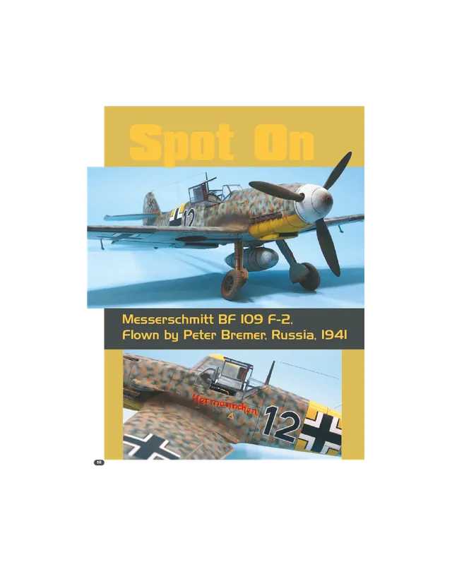AIR Modeller AIR11 articolo PDF Spot On mimetiche