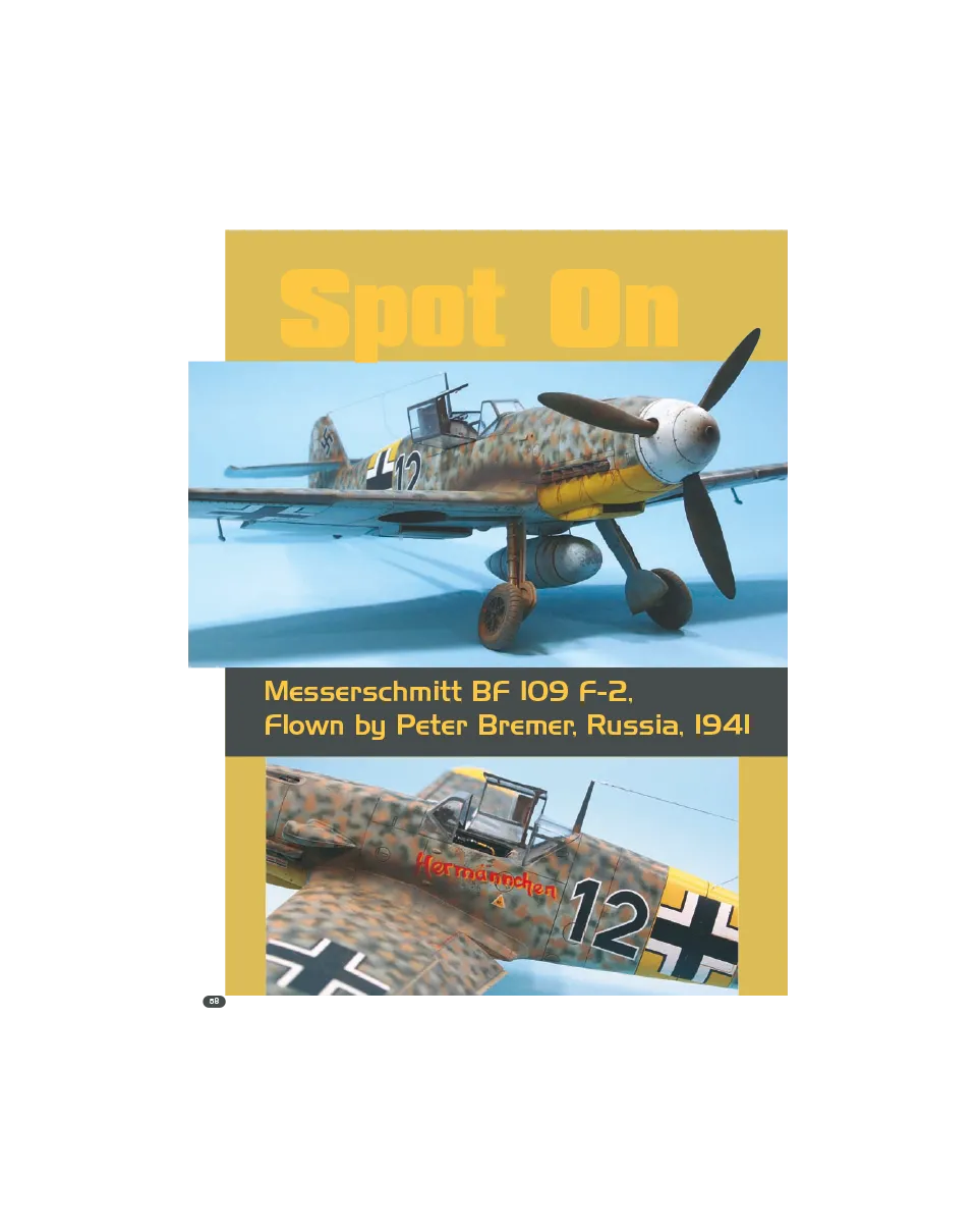 AIR Modeller AIR11 articolo PDF Spot On mimetiche