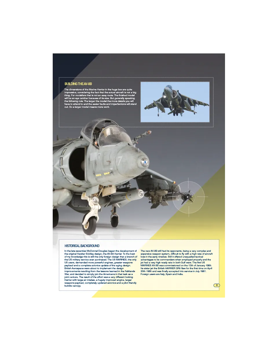 AFV Modeller AIR 38 articolo PDF Harrier 1/32