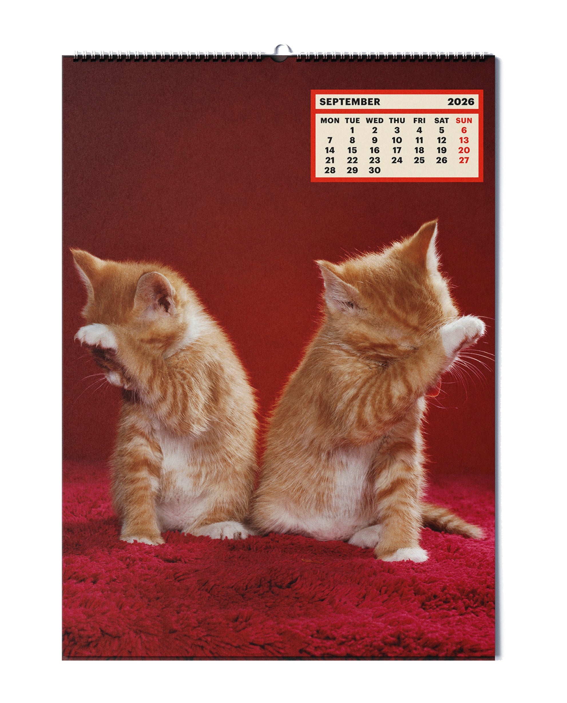 TOILETPAPER Calendar 2026 calendario gatti 28x39cm